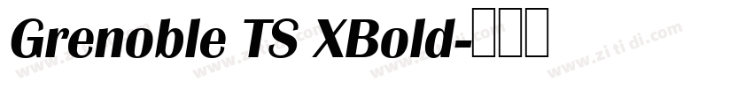 Grenoble TS XBold字体转换